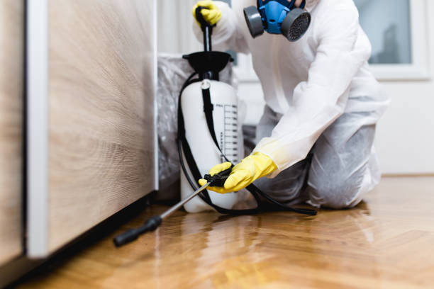 Best Insect Control  in Venice, FL