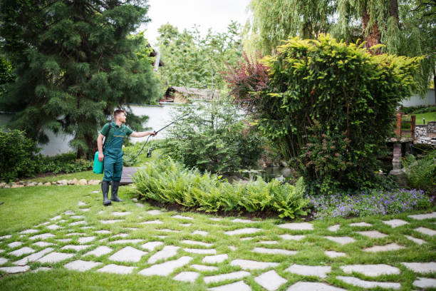 Best Wasp Removal Services  in Venice, FL