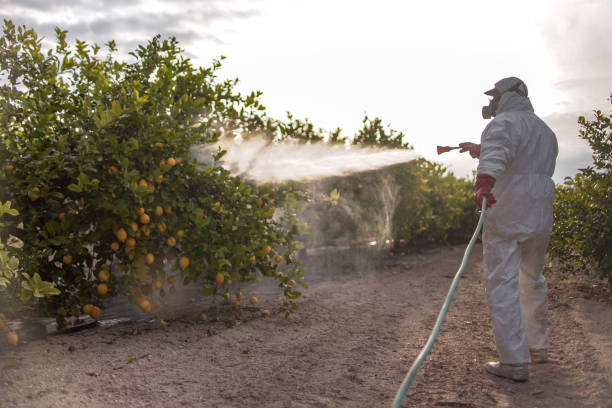Best Pest Control Near Me  in Venice, FL