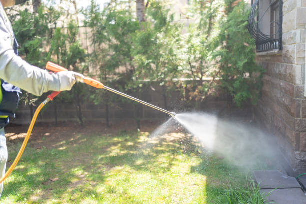 Best Pest Removal Services  in Venice, FL