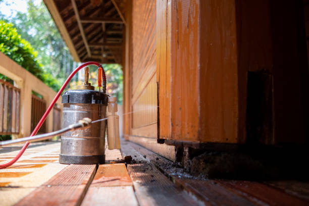 Best Mosquito Control Services  in Venice, FL