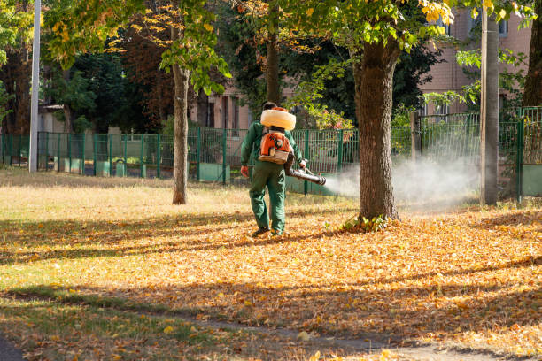Best Termite Control Services  in Venice, FL